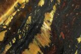 Tiger Iron Stromatolite Oval Cabochon #171318-1
